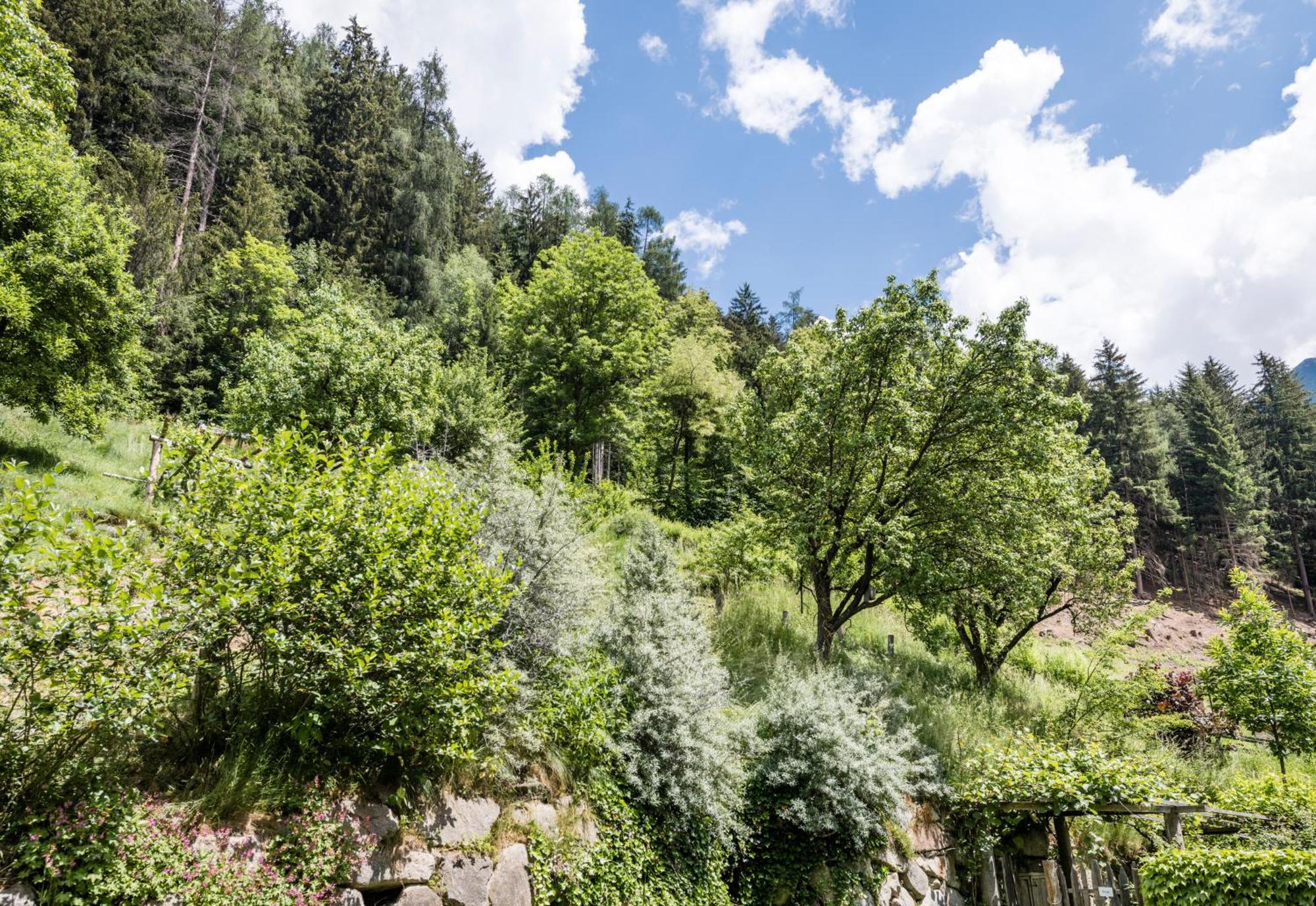 Naturresidenz Mair Zu Hof Campo Tures Ngoại thất bức ảnh